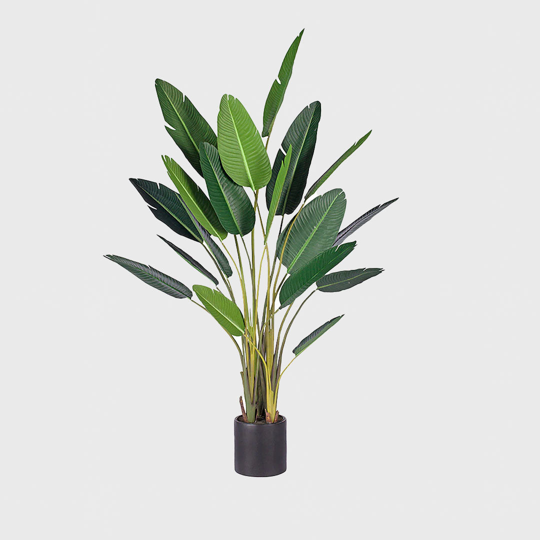 245cm Birds of Paradise Artificial Plant