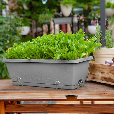 49.5cm Gray Rectangular Vegetable Herb Flower Planter Box Set of 2