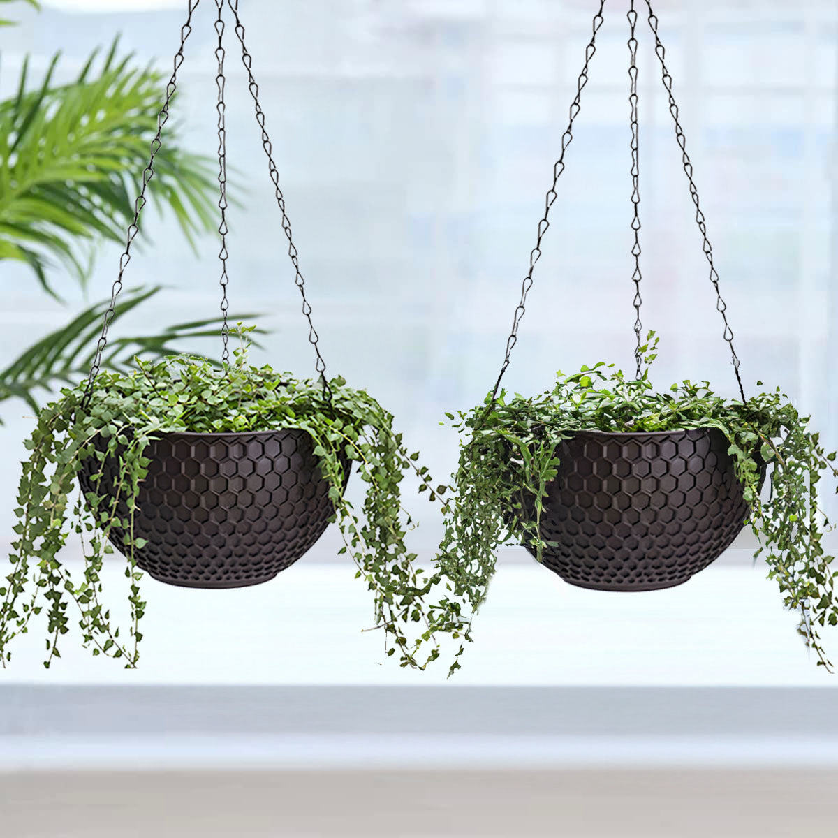 SOGA Coffee Large Hanging Resin Flower Pot Self Watering Basket Planter