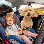 Waterproof Back Seat Pet Mat Black