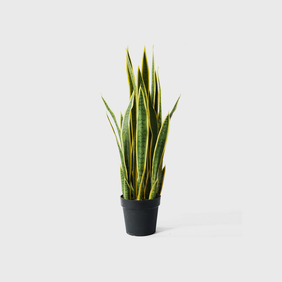 70cm Artificial Yellow Edge Tiger Piran Plant