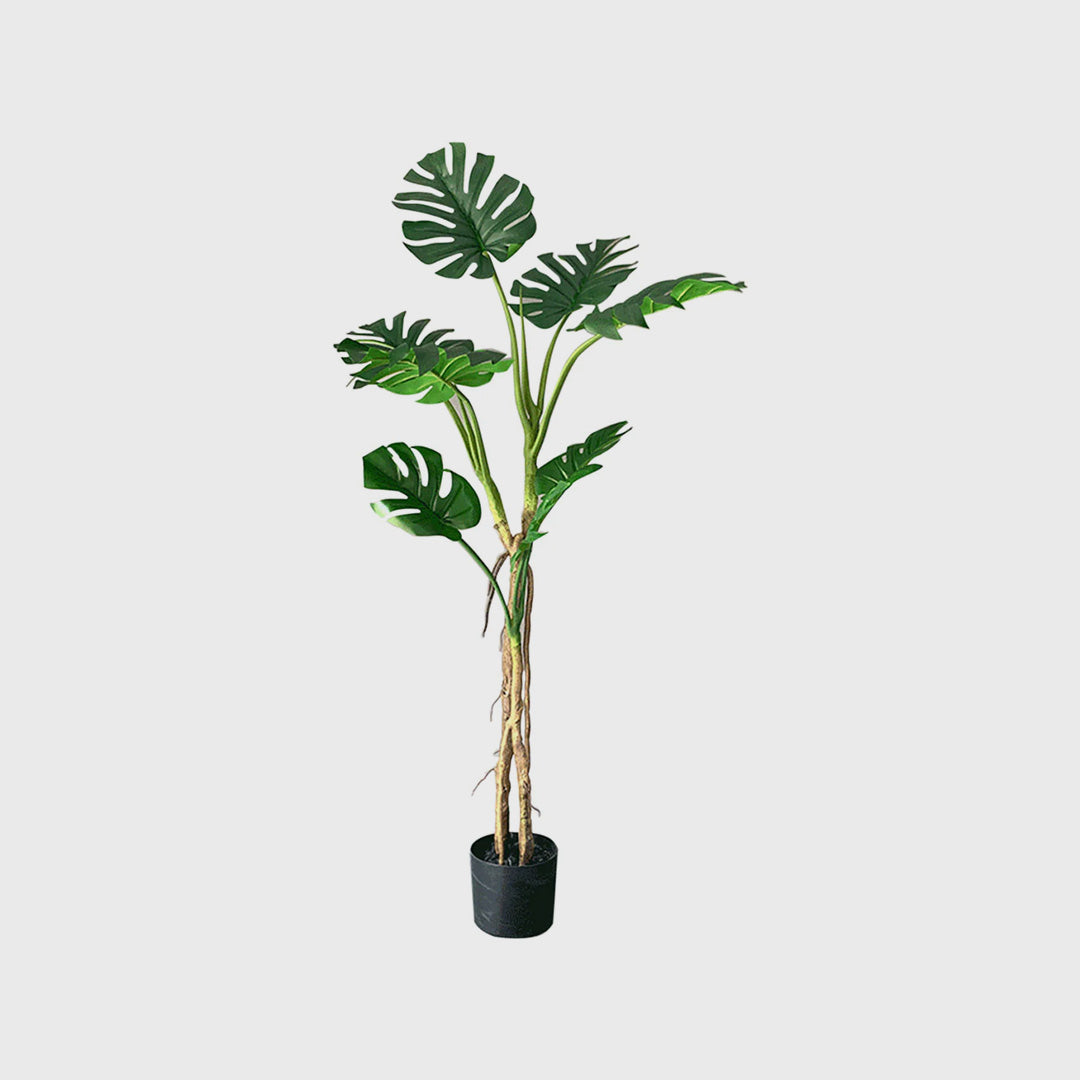 160cm Artificial Indoor Turtle Back Tree