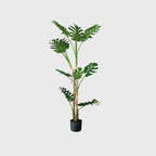 175cm Artificial Indoor Turtle Back Tree