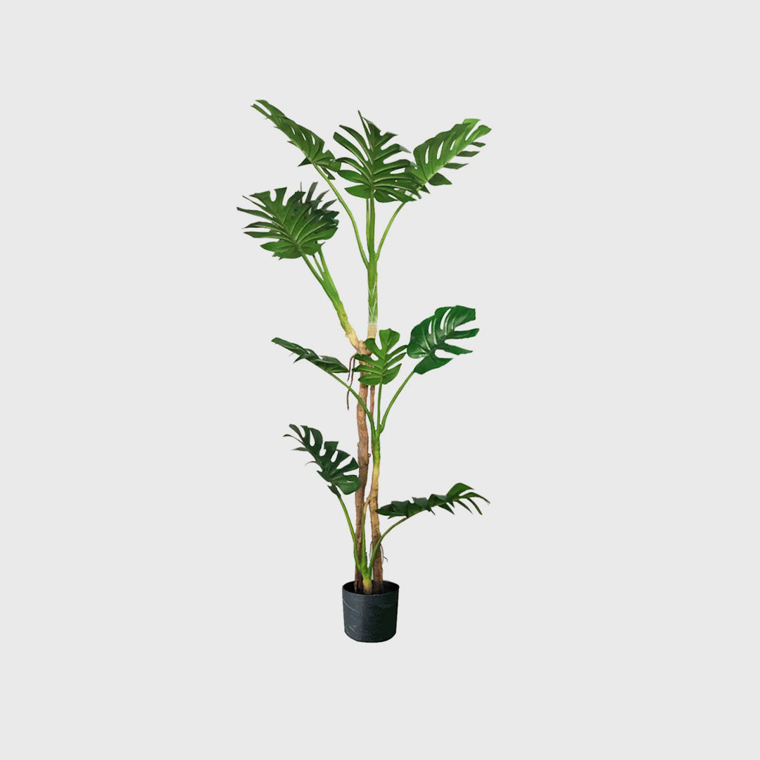 175cm Artificial Indoor Turtle Back Tree