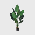 160cm Artificial Traveler Banana Plant