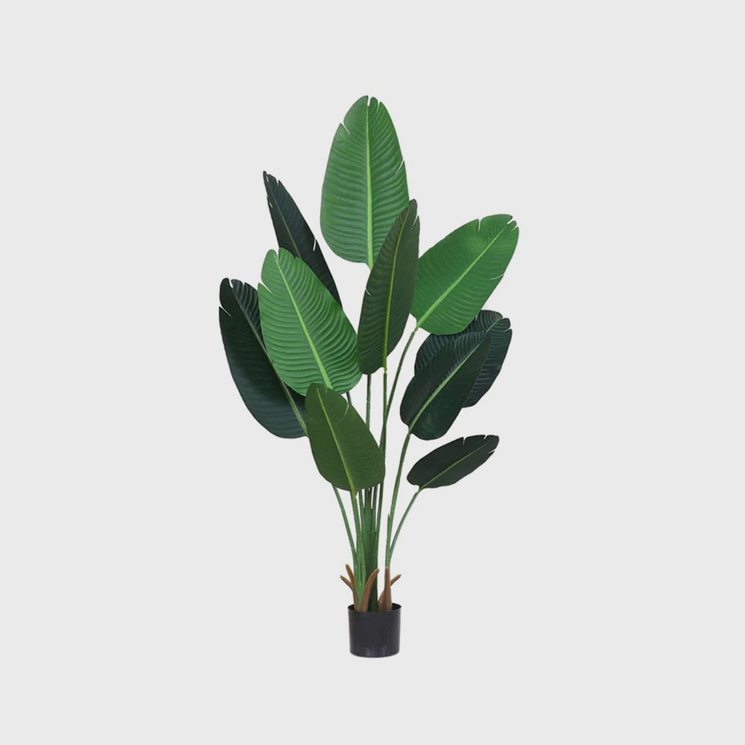 160cm Artificial Traveler Banana Plant
