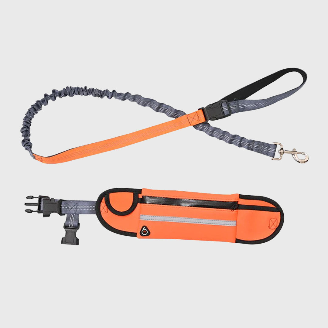 Orange Adjustable Pet Leash
