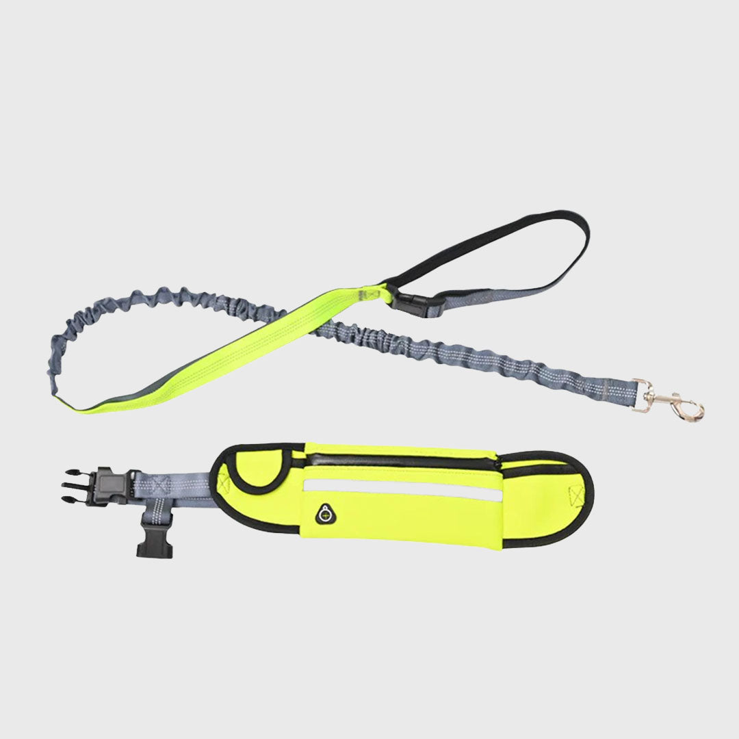 Yellow Adjustable Pet Leash
