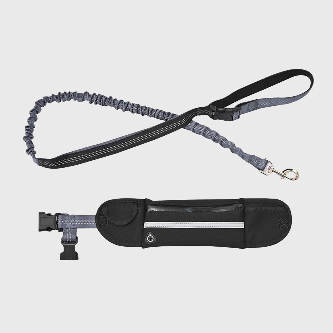 Black Adjustable Pet Leash
