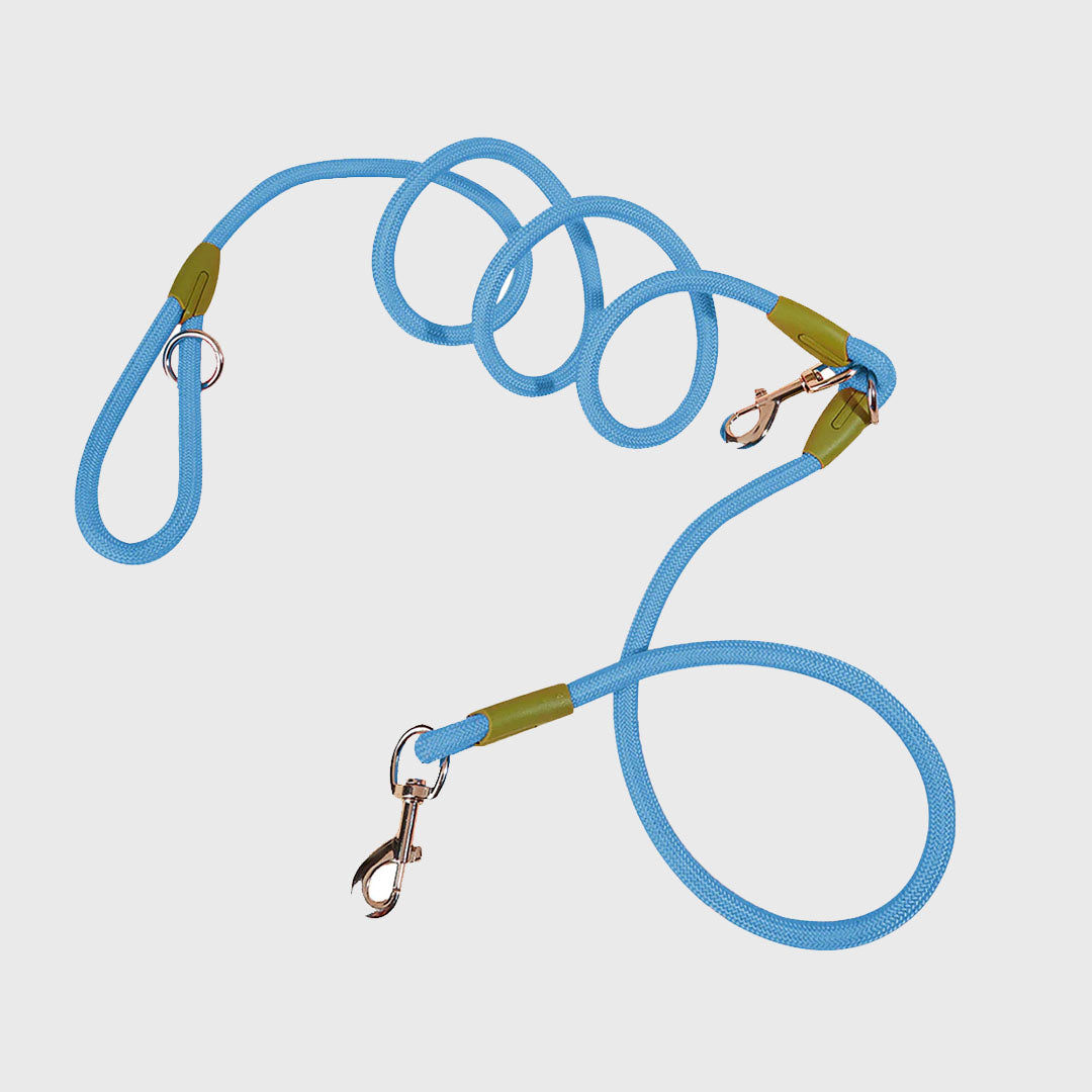 220cm Blue Multifunction Pet Leash
