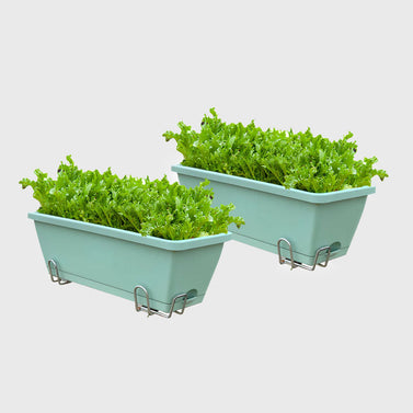 49.5cm Green Rectangular Vegetable Herb Flower Planter Box Set of 2