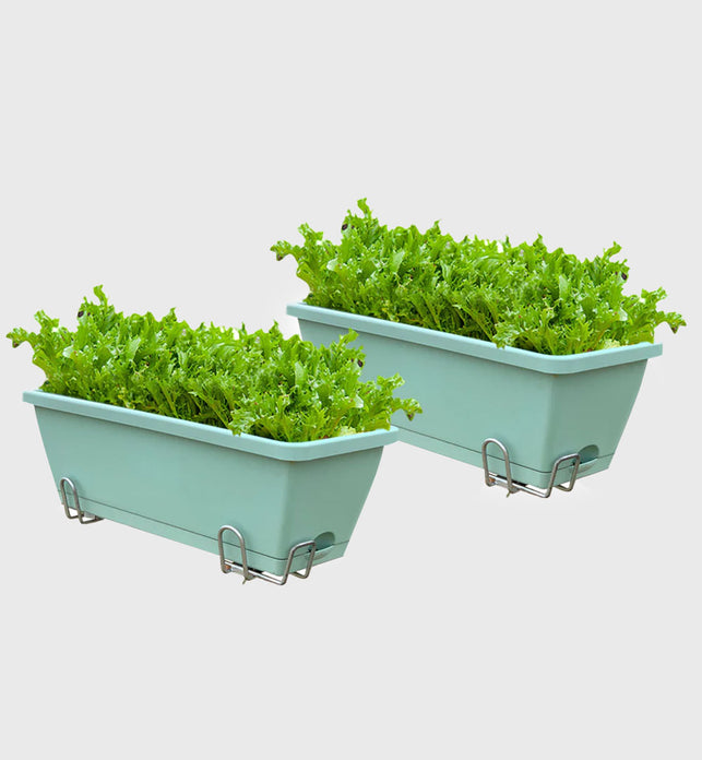 49.5cm Green Rectangular Vegetable Herb Flower Planter Box Set of 2