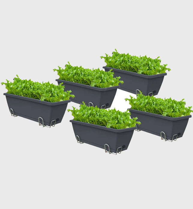 49.5cm Black Rectangular Vegetable Herb Flower Planter Box Set of 5