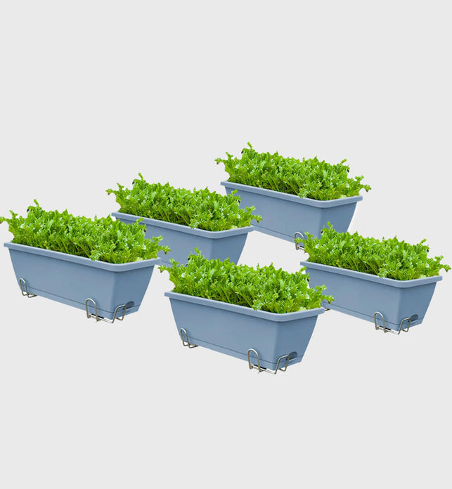 49.5cm Green Rectangular Vegetable Herb Flower Planter Box Set of 5