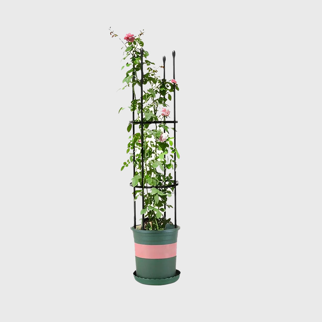 103cm 4-Bar Plant Frame Stand