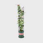 133cm 4-Bar Plant Frame Stand