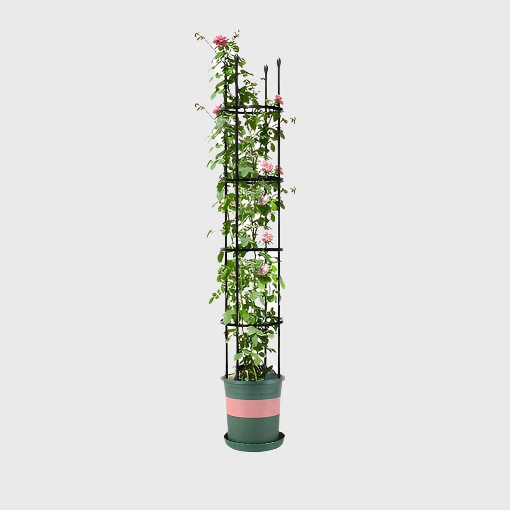 163cm 4-Bar Plant Frame Stand