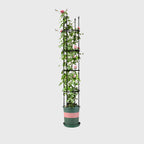 163cm 4-Bar Plant Frame Stand