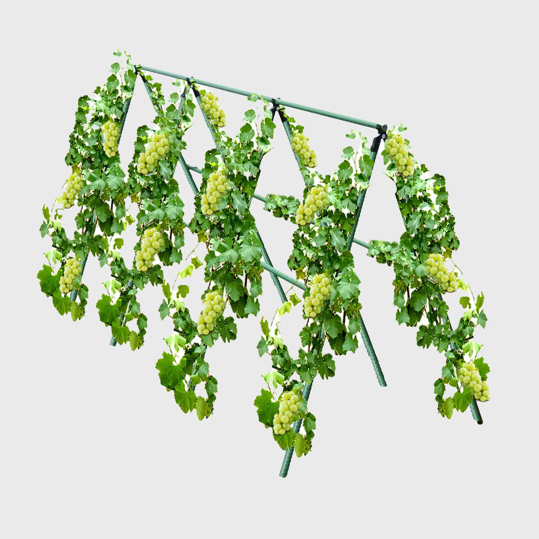 150X90cm Plant Frame Tube Trellis