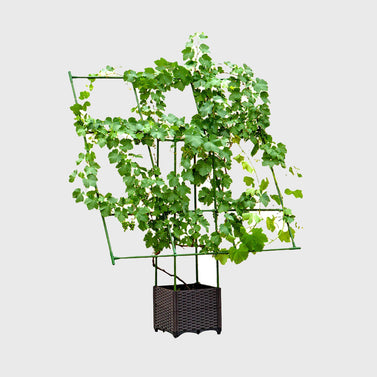 160cm Inclined Plant Frame