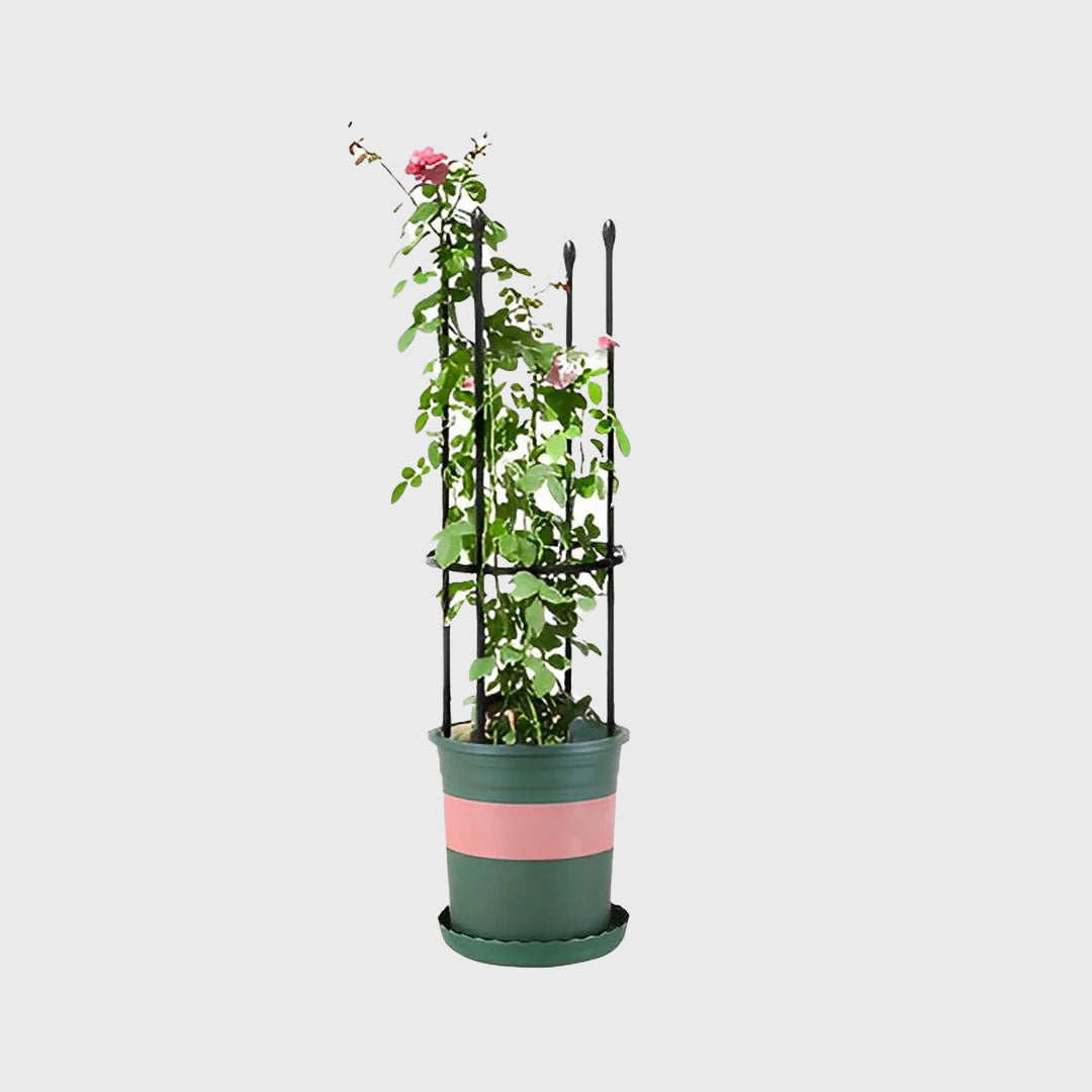 73cm 4-Bar Plant Frame Stand