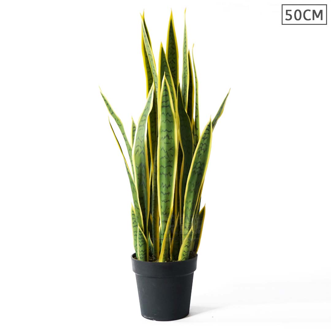 50cm Artificial Yellow Edge Tiger Piran Plant