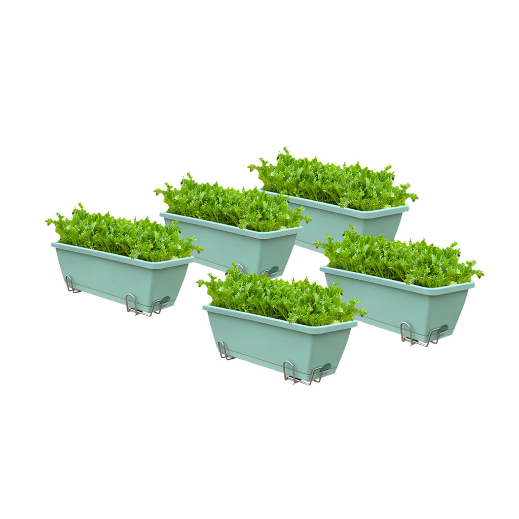 49.5cm Green Rectangular Vegetable Herb Flower Planter Box Set of 5
