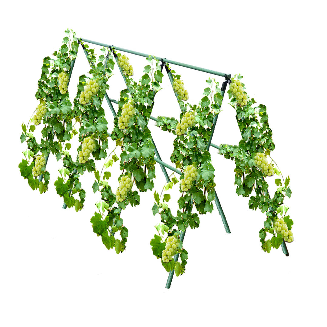 90cm Plant Frame Tube Trellis