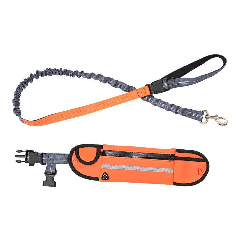 Orange Adjustable Pet Leash