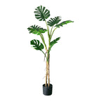 160cm Artificial Indoor Turtle Back Tree