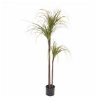 145cm Artificial Indoor Dragon Blood Tree