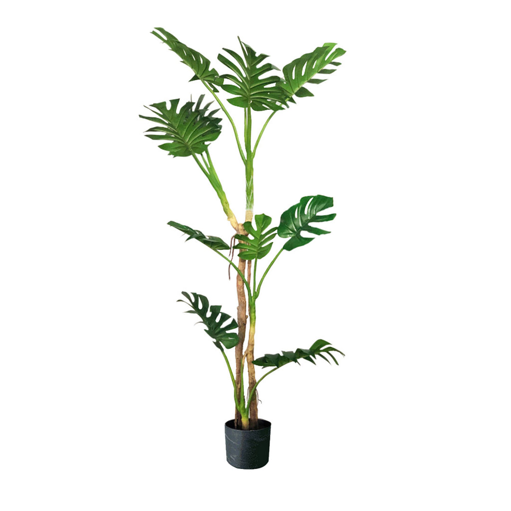 175cm Artificial Indoor Turtle Back Tree