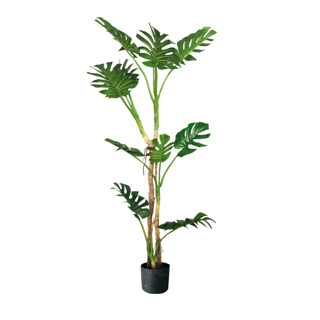 175cm Artificial Indoor Turtle Back Tree