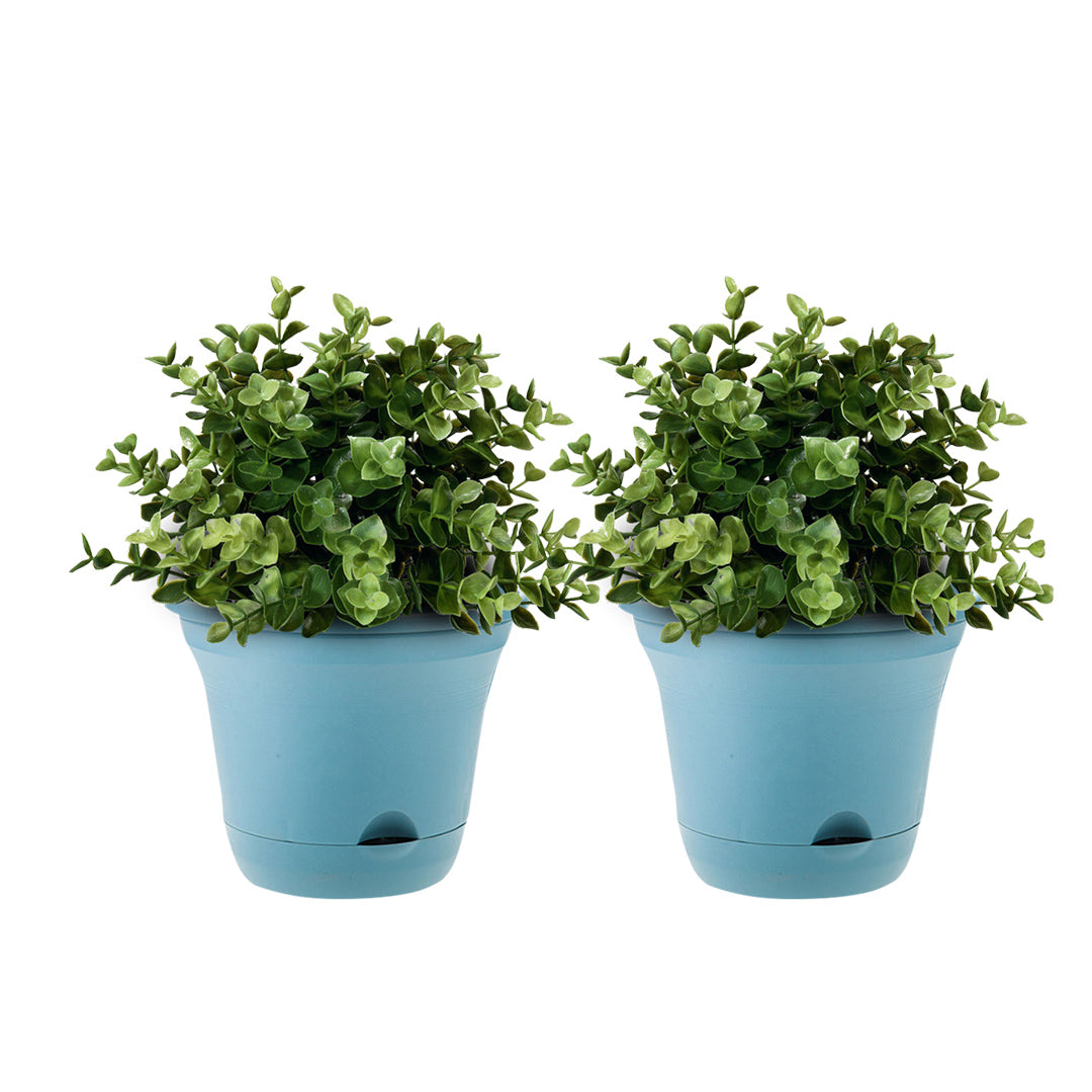 Blue Plastic Plant Self Watering Indoor Outdoor Plant Pot Set of 2