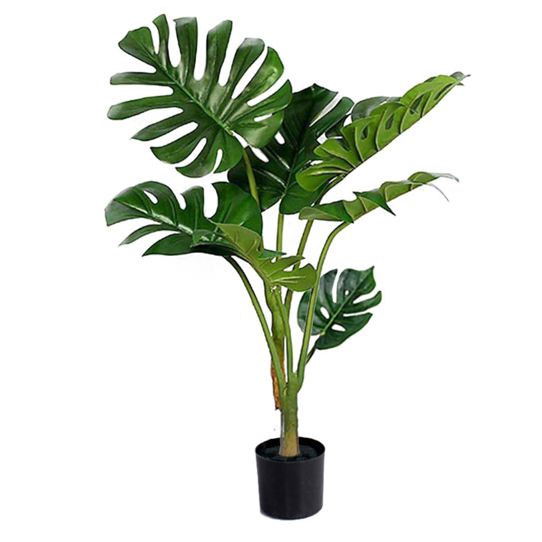 120cm Artificial Turtle Back Plant