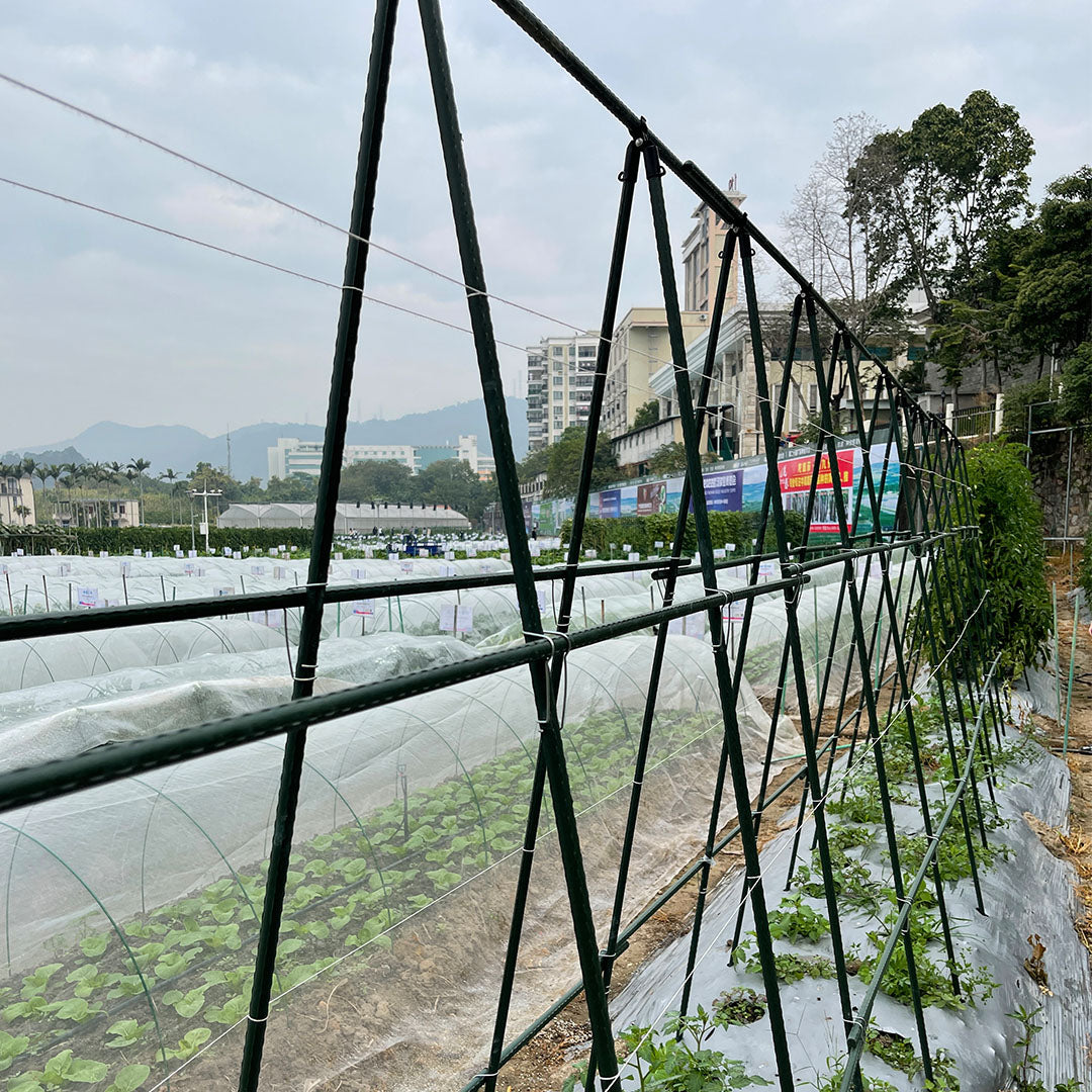90X120cm Plant Frame Tube Trellis