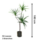 180cm Green Artificial Indoor Brazlian Iron Tree 3 Heads