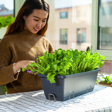 49.5cm Black Rectangular Vegetable Herb Flower Planter Box Set of 3
