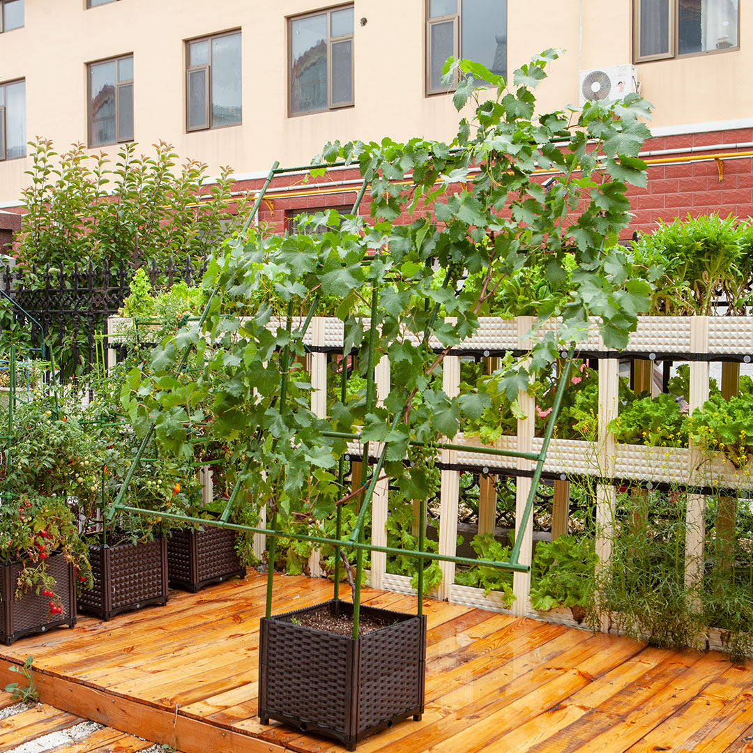 160cm Inclined Plant Frame