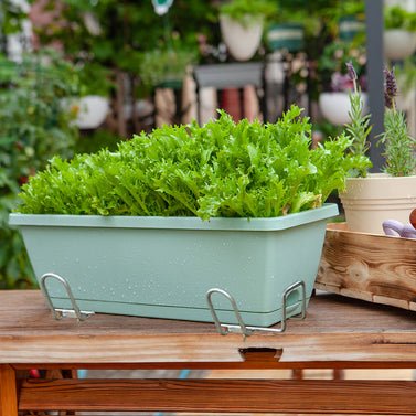 49.5cm Green Rectangular Vegetable Herb Flower Planter Box Set of 3