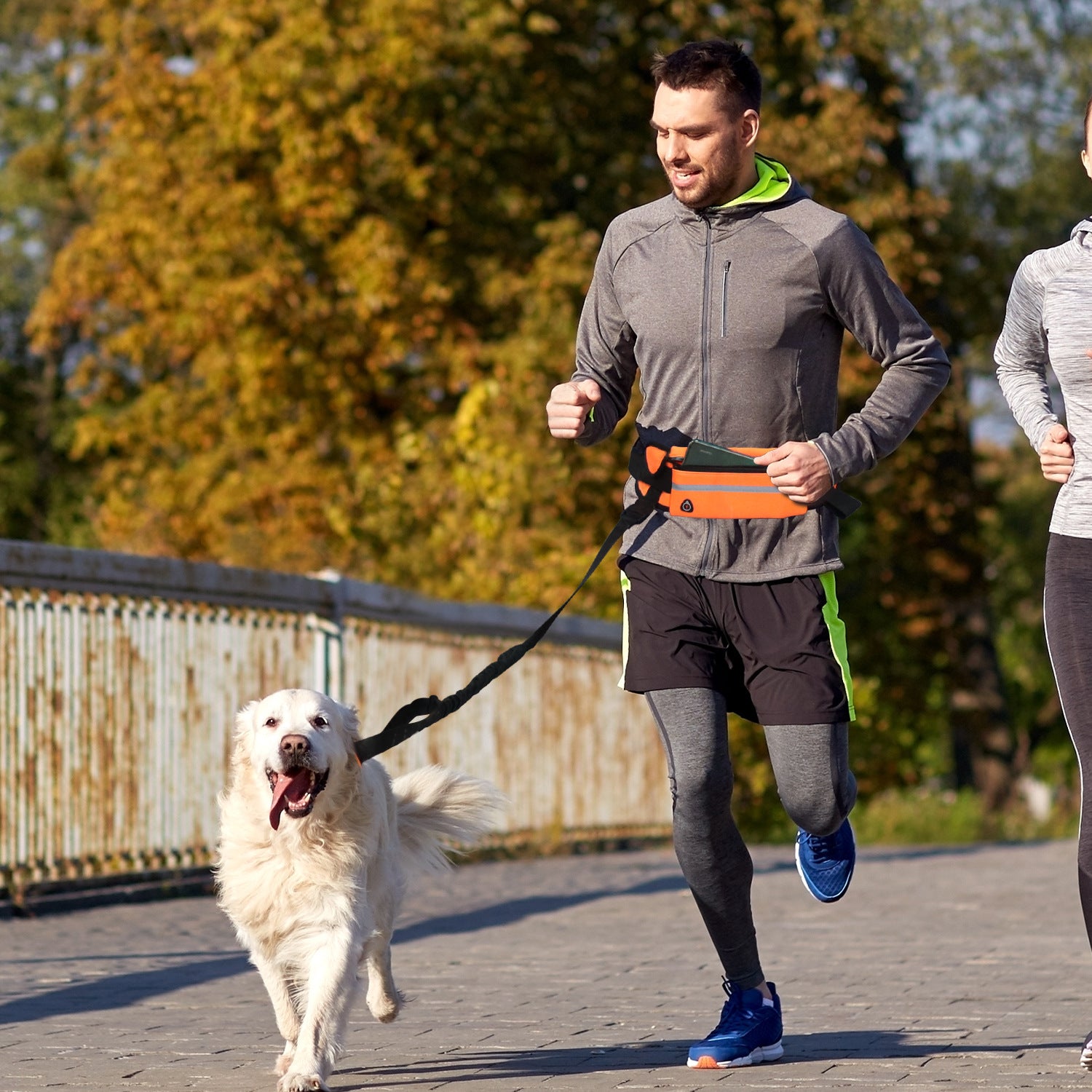 Orange Adjustable Pet Leash