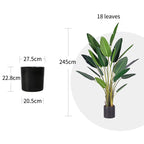 245cm Birds of Paradise Artificial Plant