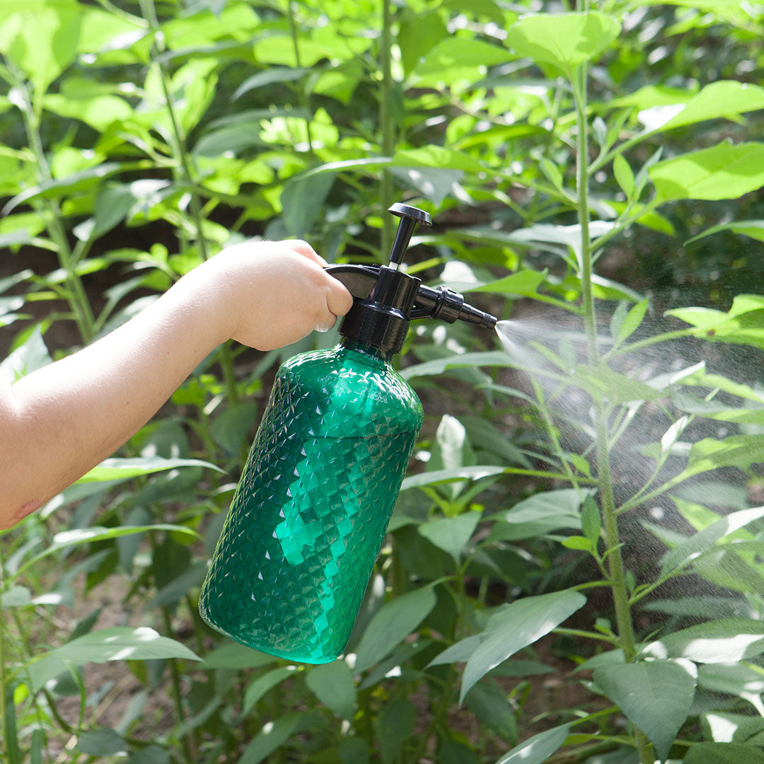 2L Handheld Water Spray Bottle with Top Pump
