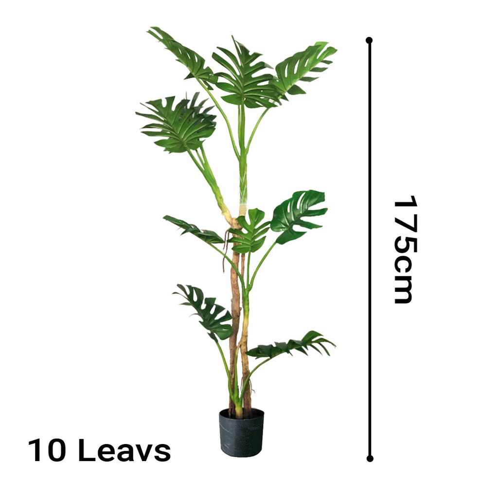175cm Artificial Indoor Turtle Back Tree