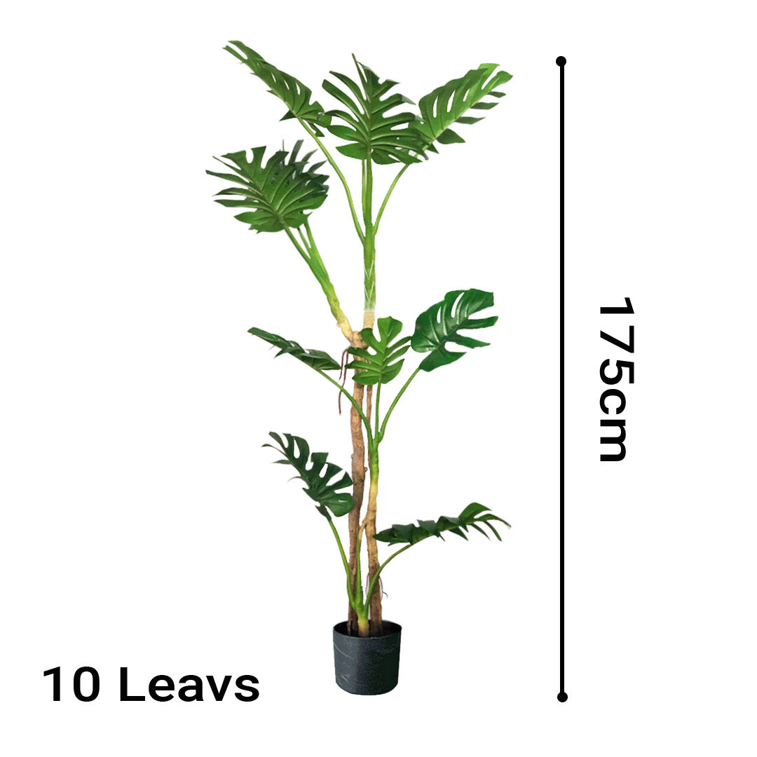 175cm Artificial Indoor Turtle Back Tree