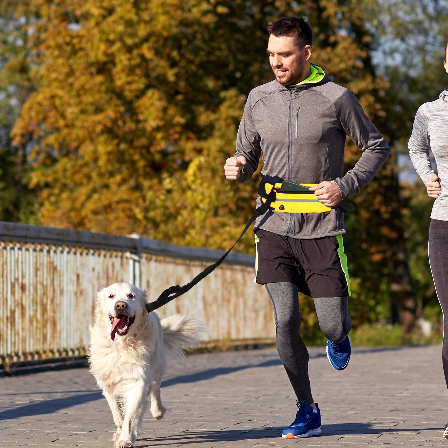 Yellow Adjustable Pet Leash