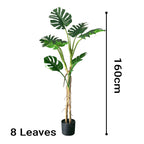 160cm Artificial Indoor Turtle Back Tree