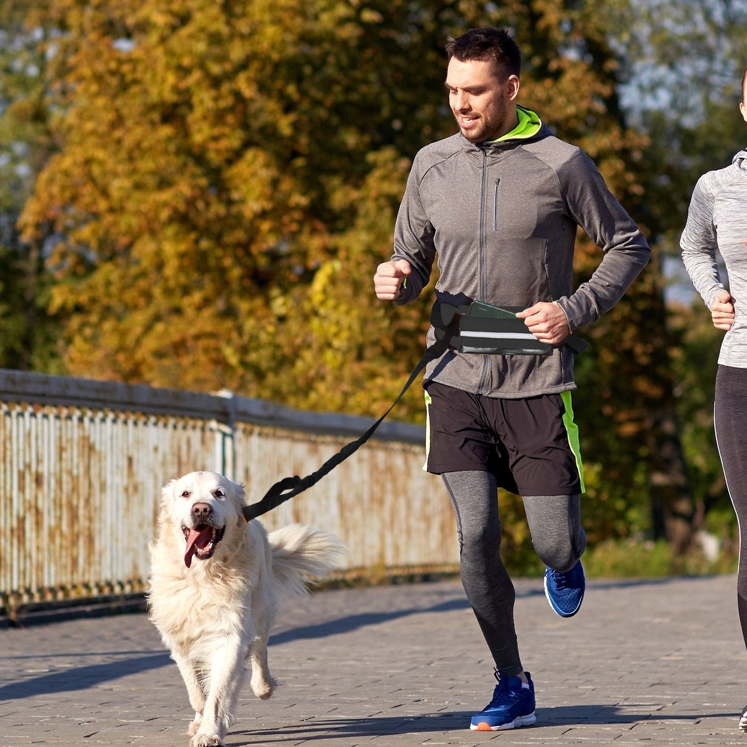Black Adjustable Pet Leash