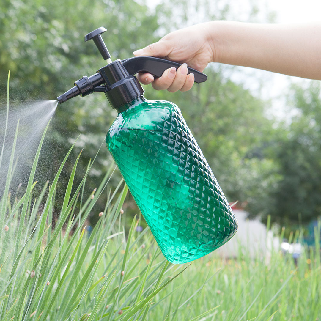 2L Handheld Water Spray Bottle with Top Pump
