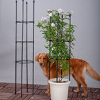 133cm 4-Bar Plant Frame Stand